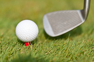 Image showing golf ball and iron on green grass detail macro summer outdoor