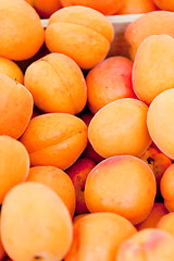 Image showing fresh orange red apricots peaches macro closeup on market