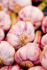 Image showing group of purple white garlic in basket macro