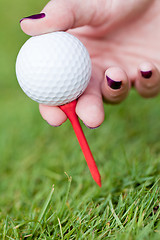 Image showing golf ball and iron on green grass detail macro summer outdoor