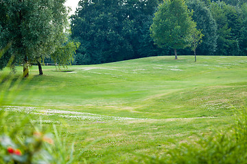 Image showing beautiful park geen grass and trees background copyspace