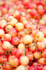 Image showing  fresh yellow red sweet cherries macro closeup on market 