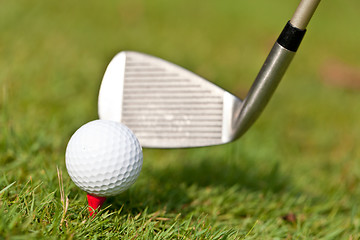 Image showing golf ball and iron on green grass detail macro summer outdoor