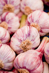 Image showing group of purple white garlic in basket macro