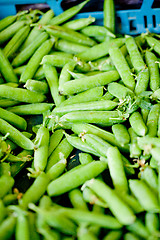 Image showing fresh green beans macro closeup on market outdoor