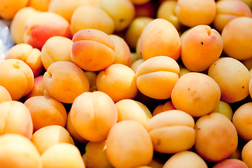 Image showing fresh orange red apricots peaches macro closeup on market