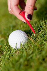 Image showing golf ball and iron on green grass detail macro summer outdoor