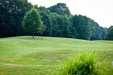 Image showing beautiful park geen grass and trees background copyspace