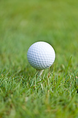 Image showing golf ball and iron on green grass detail macro summer outdoor