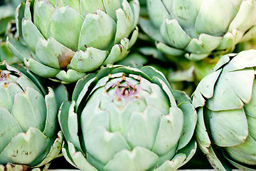 Image showing fresh green artichokes macro closeup on market outdoor