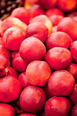 Image showing fresh orange red apricots peaches macro closeup on market