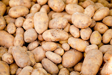 Image showing group of potatoes macro closeup market outdoor