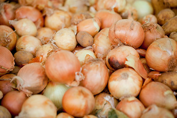 Image showing group of golden onion macro closeup outdoor market