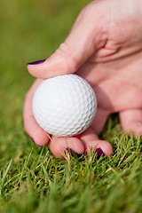 Image showing golf ball and iron on green grass detail macro summer outdoor