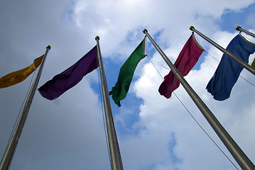 Image showing Five colored flags