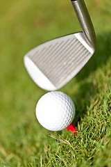 Image showing golf ball and iron on green grass detail macro summer outdoor