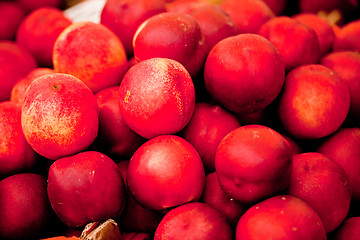 Image showing fresh orange red apricots peaches macro closeup on market