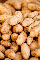 Image showing group of potatoes macro closeup market outdoor