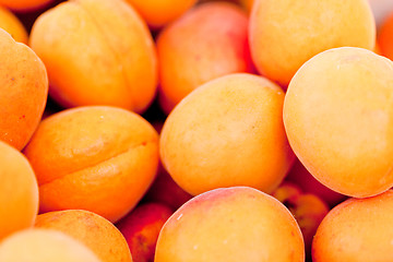 Image showing fresh orange red apricots peaches macro closeup on market
