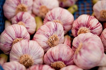 Image showing group of purple white garlic in basket macro