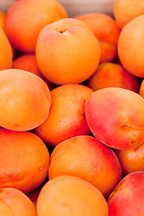 Image showing fresh orange red apricots peaches macro closeup on market