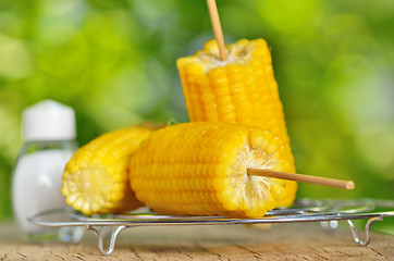 Image showing corn boiled