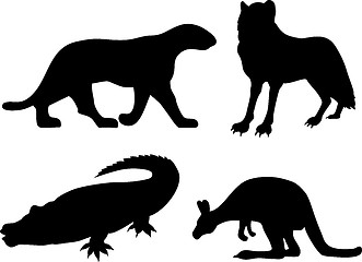 Image showing Wildlife Silhouettes