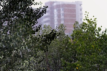 Image showing in the city rain