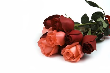 Image showing Pink And Red Rose