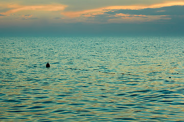 Image showing Sea after sunset near the beach