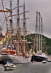 Image showing Tall ships races