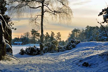 Image showing Winter wonderland