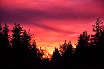 Image showing Fire in the sky