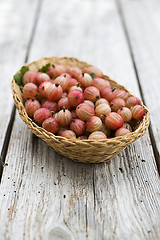 Image showing Gooseberries