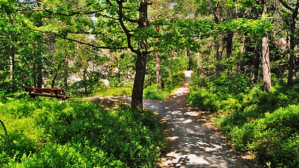 Image showing Old trail