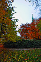 Image showing Strong colors of nature