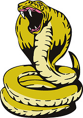 Image showing Cobra Viper Snake