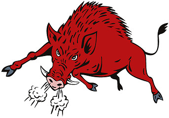 Image showing Wild Hog Jumping