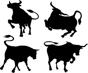 Image showing Cattle Silhouettes