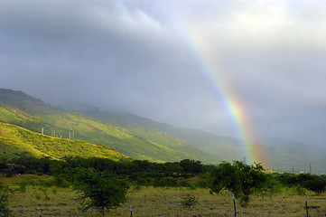 Image showing Tropical Rainbow