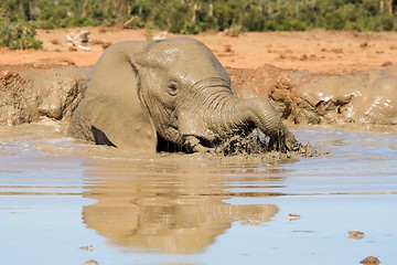 Image showing snorkling