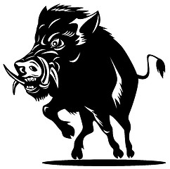 Image showing Wild Pig Boar