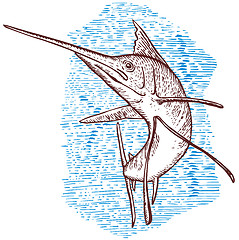 Image showing Sailfish Fish Jumping Sketch
