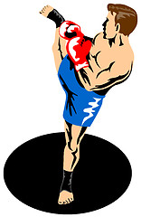 Image showing Single Kickboxer Kicking 