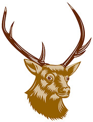 Image showing Deer Stag Buck Woodcut Retro