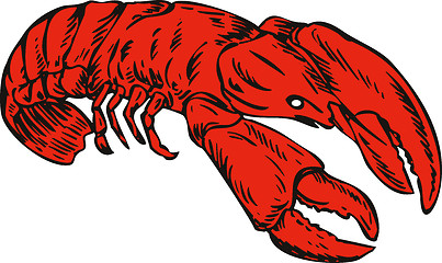 Image showing Red Lobster