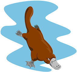 Image showing Platypus Diving