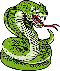 Image showing Cobra Viper Snake