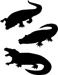 Image showing Reptile Silhouettes