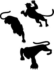 Image showing Wild Feline Silhouettes